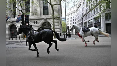 'Londonda mashg`ulot vaqtida qirollik otlari qochib ketdi (video)'ning rasmi