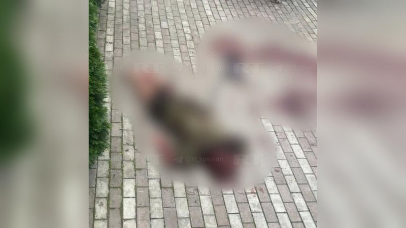 Изрображение 'В Петербурге медведь растерзал свою хозяйку - профессиональную дрессировщицу'