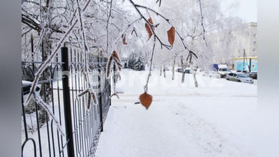 '29 yanvar kungi ob-havo ma`lumoti bilan tanishing'ning rasmi