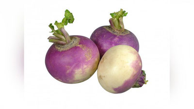 'ShOLG`OMNING TIBBIY AHAMIYaTI'ning rasmi