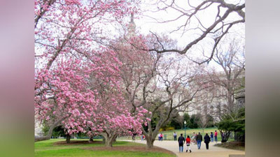 '17 март куни кутилаётган об-ҳаво маълумоти'ning rasmi