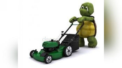 'Toshbaqa maysaqirqarni ta`qib etdi (Video)'ning rasmi