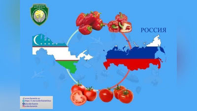 'O`zbekistondan Rossiyaga bulg`or qalampiri va pomidor mahsulotlarini olib kirish uchun vaqtinchalik ta`qiq qo`yilganligi to`g`risidagi xabatga oydinlik kiritildi'ning rasmi