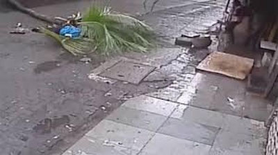 '​ҲИНДИСТОНЛИК МАШҲУР ТЕЛЕБОШЛОВЧИНИНГ УСТИГА ПАЛЬМА ДАРАХТИ ҚУЛАБ, ҲАЛОК БЎЛДИ (ВИДЕО)'ning rasmi