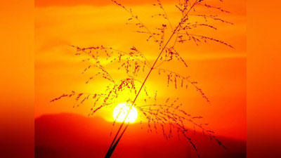 Изрображение 'ТЕПЛАЯ НОЧЬ И ЖАРКИЙ ДЕНЬ: ПОГОДА НА 8 АВГУСТА'