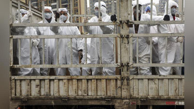 'Immunolog koronavirus pandemiyasini ikki hafta ichida to`xtatish yo`lini ma`lum qildi'ning rasmi