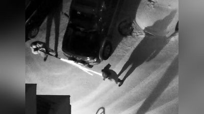 '​Novosibirsklik ayolning otib o`ldirilishini videokamera suratga oldi'ning rasmi