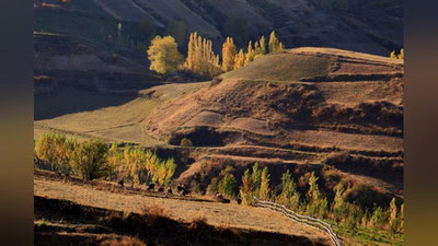 'Bugun kunduz kuni O`zbekiston bo`yicha havo quyoshli bo`ladi'ning rasmi