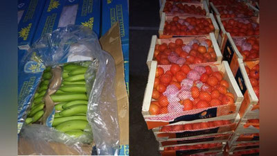 '“Isuzu”ga ortilgan mevalar manziliga etib borolmadi 'ning rasmi