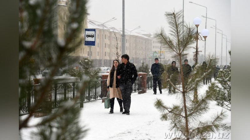 '31 январь куни кутилаётган об-ҳаво маълумоти'ning rasmi