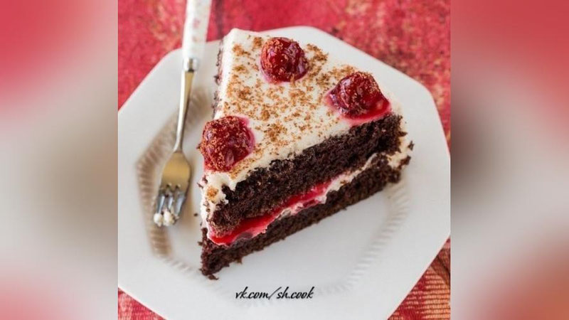 '«OLChAZOR» TORTI'ning rasmi