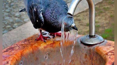 'Ertaga O`zbekistonda issiqlik harorati 50 darajaga yaqinlashadi'ning rasmi