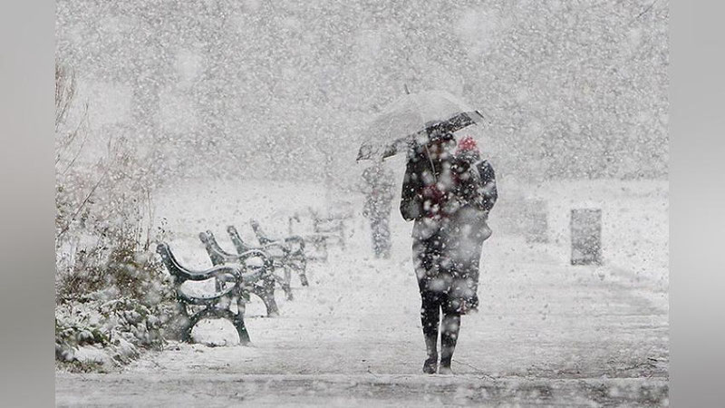 'ERTAGA QOR VA YoMG`IR YoG`IShI KUTILMOQDA'ning rasmi