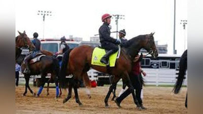 'Америкада от пойгаси мусобақаси ўтказилди'ning rasmi