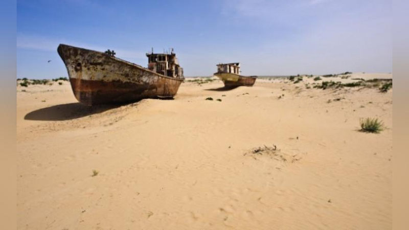 'Orolning qurigan tubida chorvachilik qilsa bo`ladimi?'ning rasmi