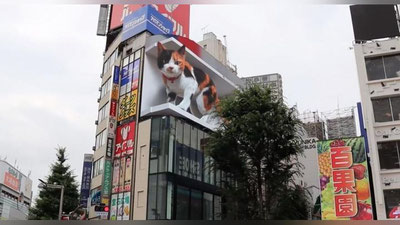 Изрображение 'В Японии гигантский 3D-кот поселился на фасаде торгового центра (видео)'