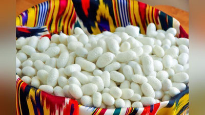 'Pillachilik tarmog`i rivojlantiriladi'ning rasmi