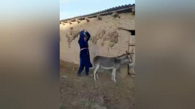 Изрображение 'Мужчину, избивавшего ослов в Кашкадарье, нашли и привлекли к ответственности'