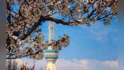 'Yomg`irdan 30 daraja issiqqacha... Joriy haftada kutilayotgan ob-havo ma`lumoti e`lon qilindi'ning rasmi