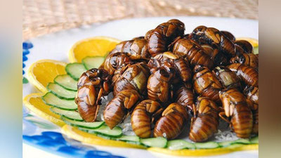 Изрображение 'УЧЕНЫЕ: НАСЕКОМЫЕ ГОРАЗДО ПОЛЕЗНЕЕ ГОВЯДИНЫ'