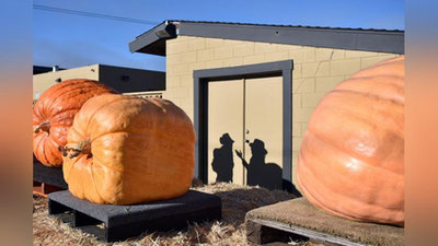 'GERMANIYaDA OShQOVOQLAR MUSOBAQASI BO`LIB O`TDI 'ning rasmi