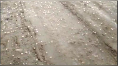 'Urgutda do`l yog`di (video)'ning rasmi