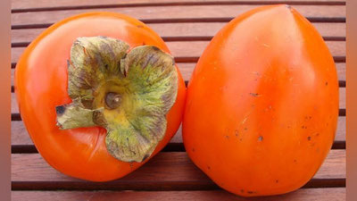 'Ikki dona xurmo 6,5 ming dollarga sotildi'ning rasmi