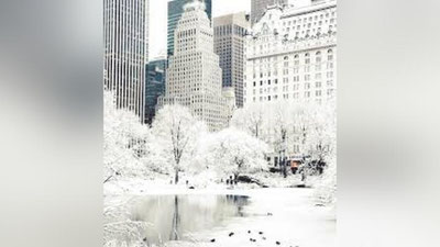 'АҚШнинг шимолий-шарқий ҳудудлари бутунлай қор остида қолди'ning rasmi