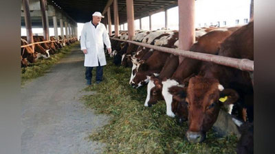 'Chorvachilikda yangi qo`mita tashqil etildi. Uning vazifalari nima?'ning rasmi