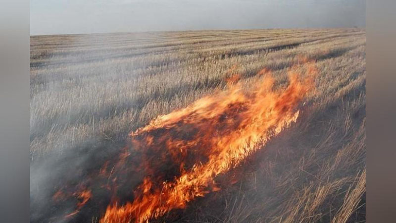 'Оҳангаронда ерга ўт қўйганларга қарши курашган инспектор калтакланди'ning rasmi