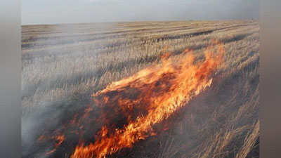 'Ohangaronda erga o`t qo`yganlarga qarshi kurashgan inspektor kaltaklandi'ning rasmi