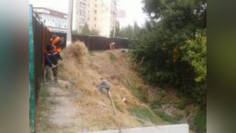 '​ShAYHONTOHUR TUMANIDAGI MAHALLADAN 9 TONNA ChIQINDI OLIB ChIQILDI'ning rasmi