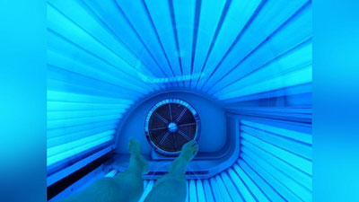 'SARATON KASALLIGI SAMARQANDDA DAVOLANADI'ning rasmi