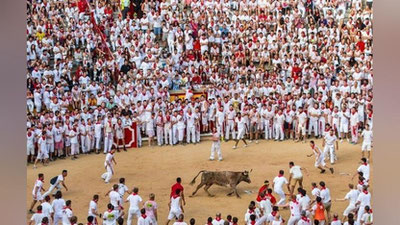 '​Перуда ўтказилган анъанавий буқалар пойгасида 12 киши жароҳатланди (Видео)'ning rasmi