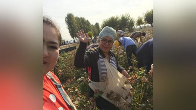 '​ SAN`AT VAKILLARI PAXTA YIG`IM-TERIMIDA FAOLLIK KO`RSATIShMOQDA (FOTO)'ning rasmi