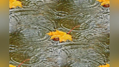 Изрображение 'Местами дождь: погода на 18 октября'