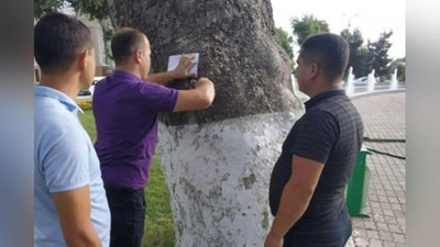 Изрображение 'На Университетском бульваре в Самарканде началась перепись деревьев'