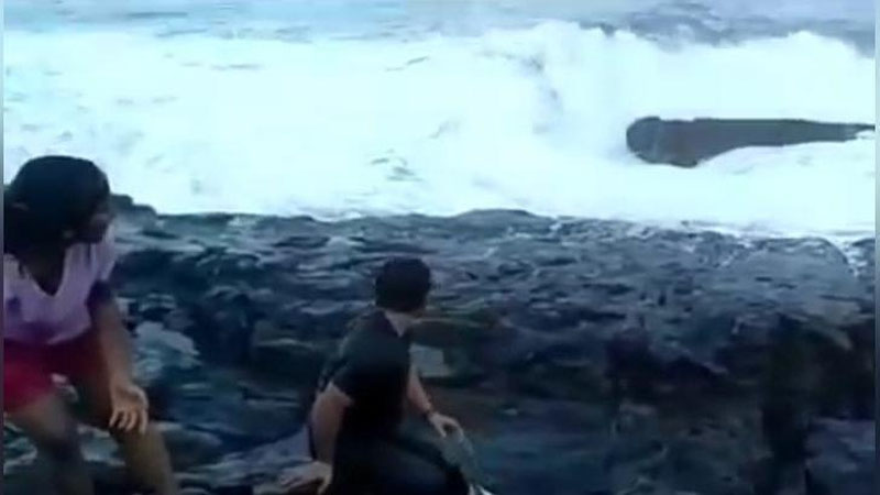 Изрображение 'ТУРИСТ НА ГОА РАССТАЛСЯ С ЖИЗНЬЮ, ВСТРЕЧАЯ РАССВЕТ НА БЕРЕГУ (ВИДЕО)'