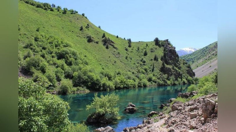 'Qo`riqxonalar, milliy bog`lar va o`rmon xo`jaliklarida ekoturizm xizmatlari yo`lga qo`yiladi'ning rasmi