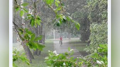 'Dam olish kunlari O`zbekistonda ob-havo qanday bo`lishi ma`lum qilindi'ning rasmi