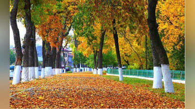 'Dam olish kunlari qanday ob-havo kuzatiladi?'ning rasmi