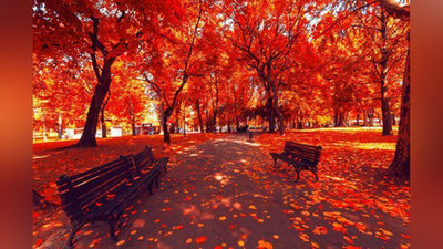 'Ertaga havo qanday bo`ladi?'ning rasmi