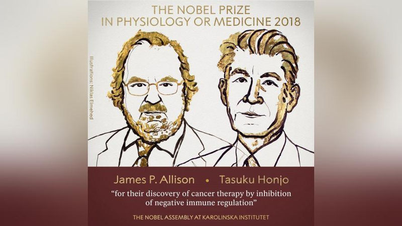 'Tibbiyot yo`nalishidagi Nobel mukofoti saraton kasalligiga qarshi kurashish terapiyasi uchun berildi'ning rasmi