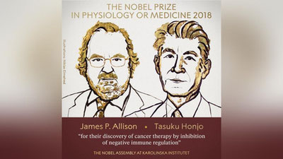 'Tibbiyot yo`nalishidagi Nobel mukofoti saraton kasalligiga qarshi kurashish terapiyasi uchun berildi'ning rasmi