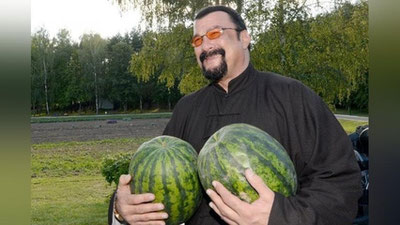 Изрображение 'СТИВЕН СИГАЛ ПОЛУЧИЛ РОССИЙСКОЕ ГРАЖДАНСТВО'