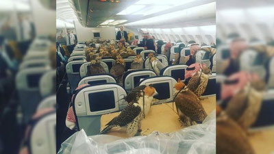 '​Saudiya shahzodasi 80 nafar lochinga samolyot chiptasini sotib oldi. (Video)'ning rasmi