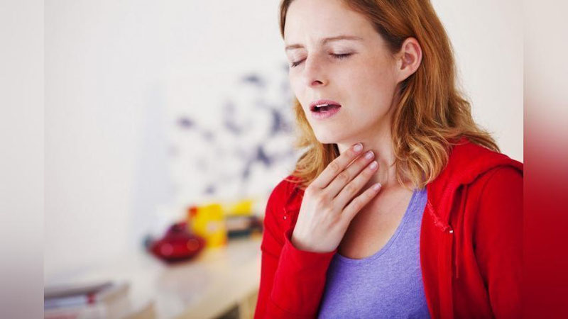 'TOMOQ OG`RIG`INI DAVOLAYDIGAN MOYLARNING QAYSI BIRI FOYDALI?'ning rasmi