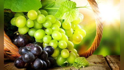 'УЗУМНИНГ ШИФОБАХШ ХУСУСИЯТЛАРИ'ning rasmi