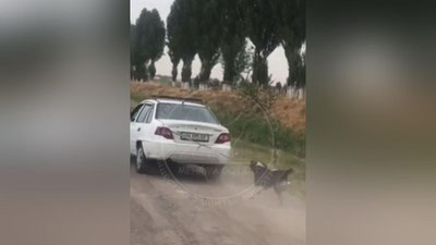 Изрображение 'Мужчину, волочившего собаку за автомобилем, нашли: документы отправлены в суд'