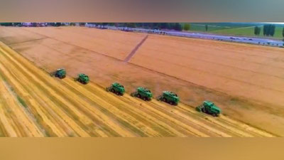 Изрображение 'Государство будет закупать зерно у фермеров по рыночным ценам'